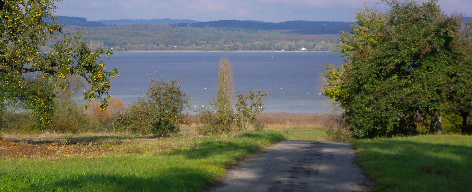 header-kontakt.6092505f06b0e